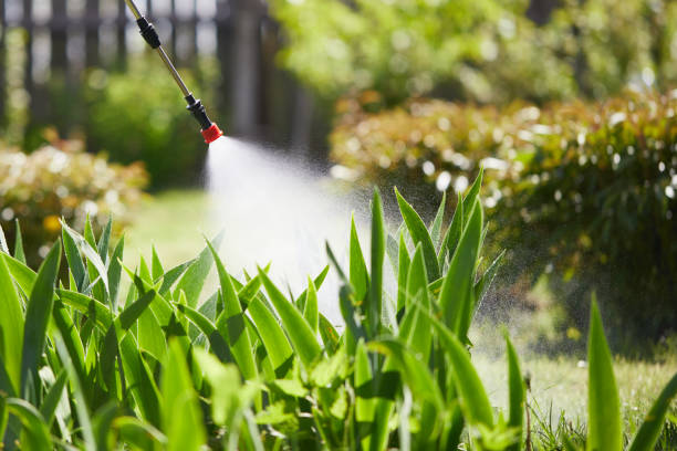 24/7 Emergency Wasp Removal experts in Boulevard Gardens, FL