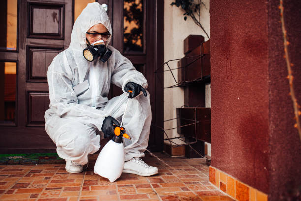 Reliable Wasp Removal contractor in Boulevard Gardens, FL by Show Me Pest Control