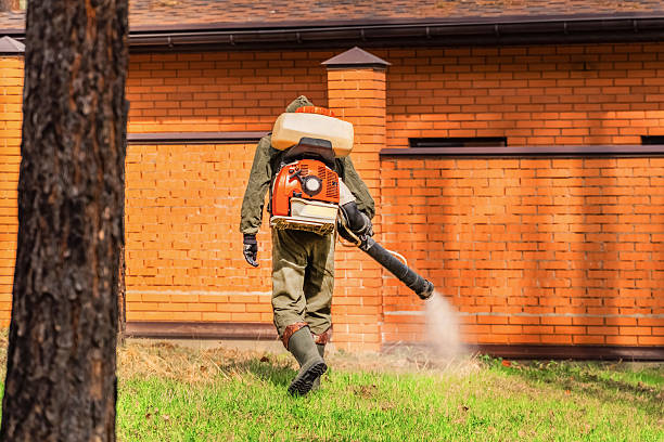 Top rated local Wasp Removal specialists in Boulevard Gardens, FL